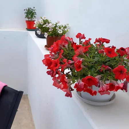 Granny's ,mini For 4 Messaria (Santorini)