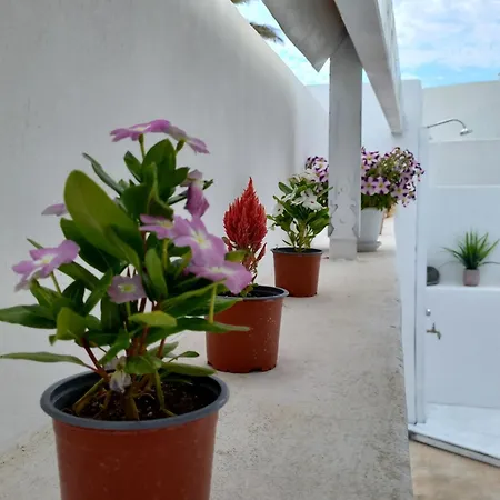 Granny's ,mini For 4 Villa Messaria (Santorini)