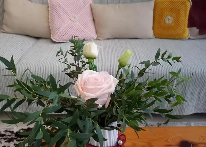 Granny's ,mini For 4 别墅