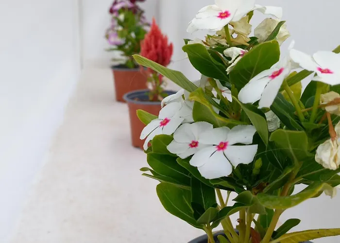 Granny's ,mini For 4 Villa *