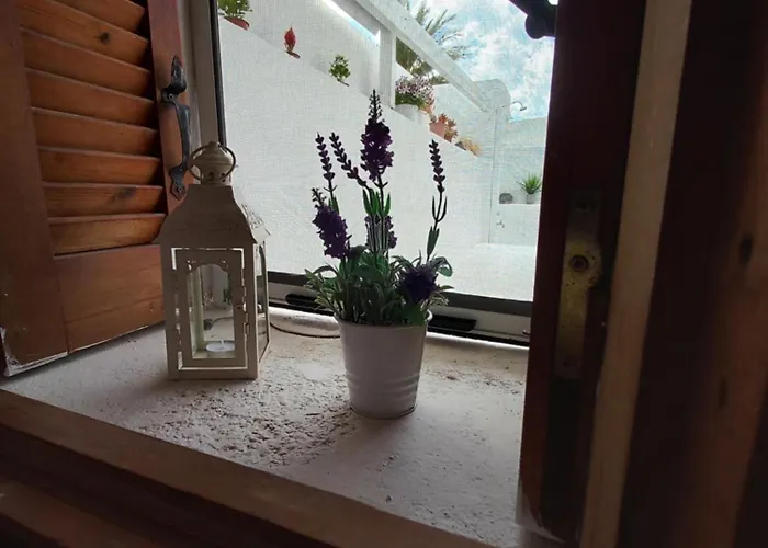 Granny's ,mini For 4 梅萨雷亚